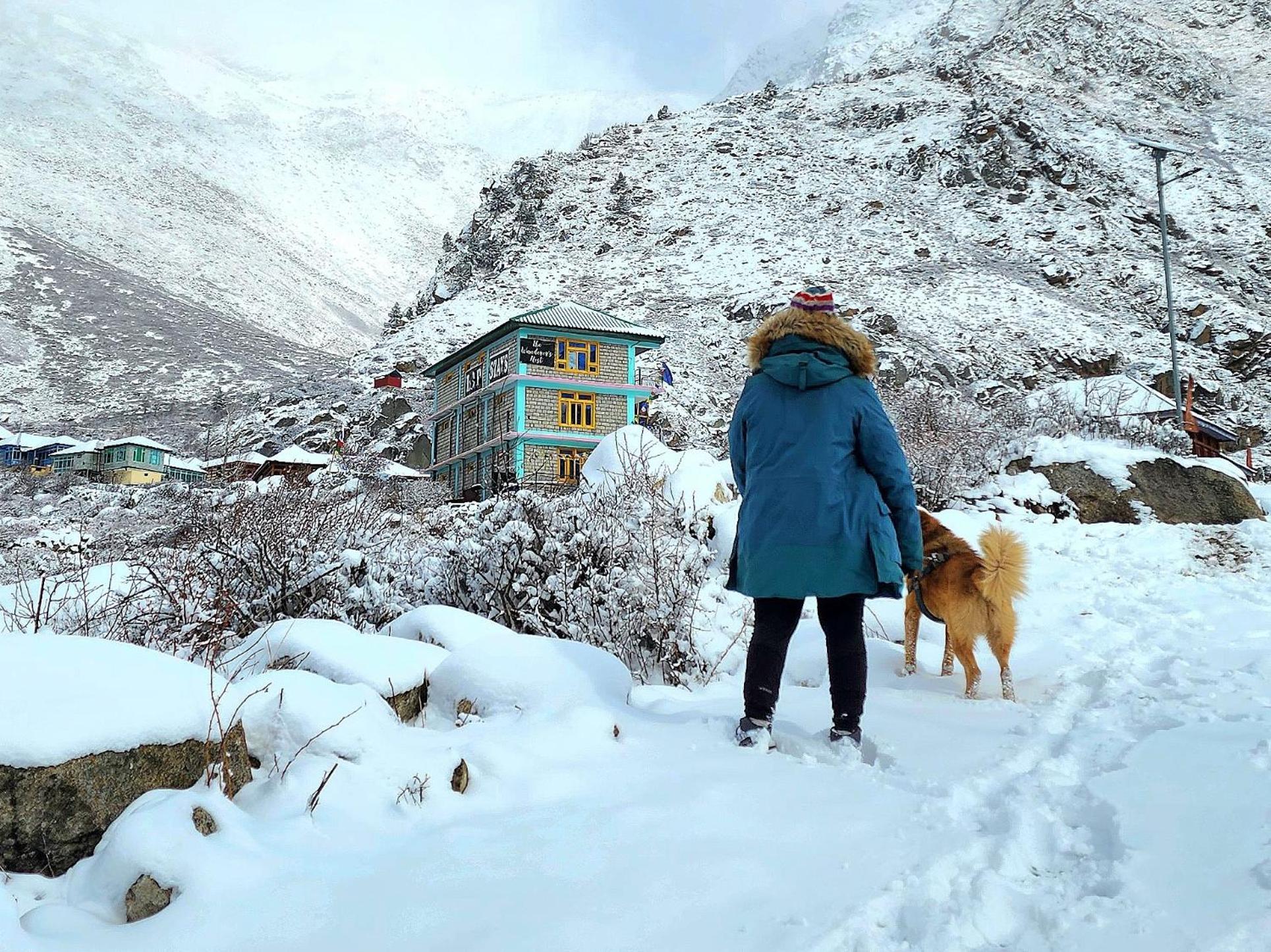 Lap Stays - Wanderer'S Nest Chitkul Экстерьер фото